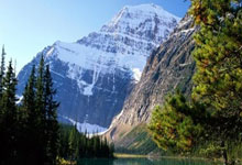 九游娱乐官网：今年国际体坛这些人物备受关注环球时报.