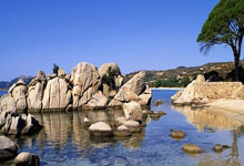 九游娱乐官网：[球之夜]20241228 坚守 超越.